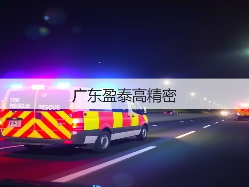 广东盈泰高精密
