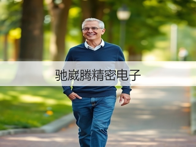驰崴腾精密电子(图2)