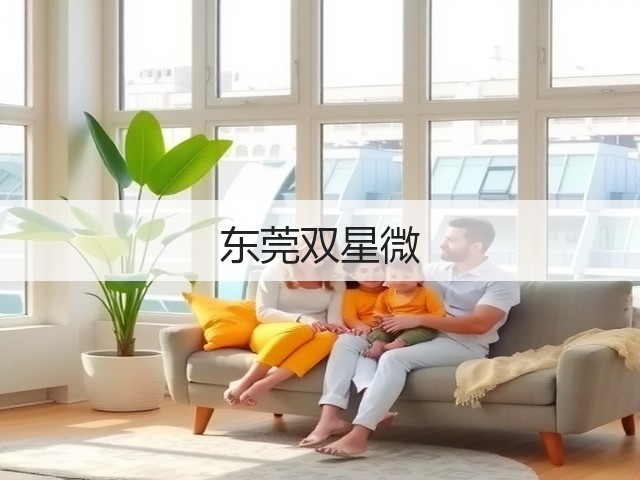 东莞双星微(图2)