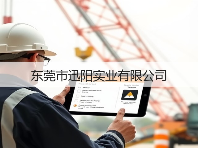东莞市迅阳实业有限公司(图1)