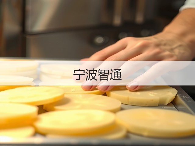 宁波智通(图1)