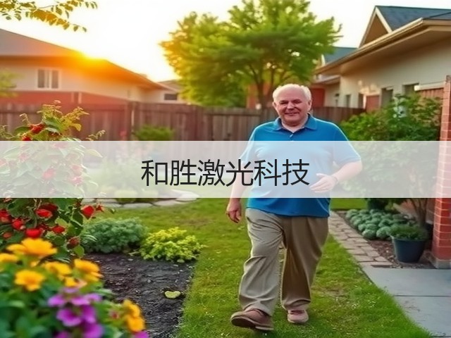 和胜激光科技(图1)