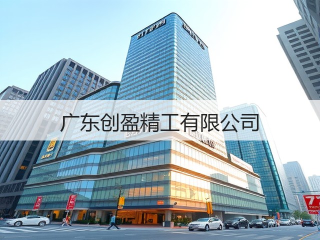 广东创盈精工有限公司(图1)