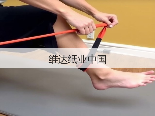 维达纸业中国(图2) 维达纸业中国(图2)
