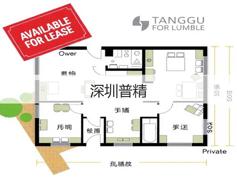 深圳普精