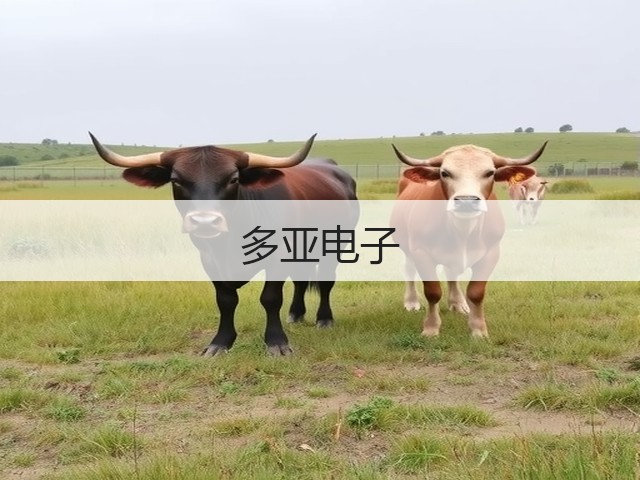 多亚电子(图1) 多亚电子(图1)