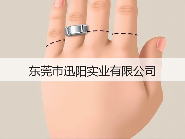 东莞市迅阳实业有限公司(图1)