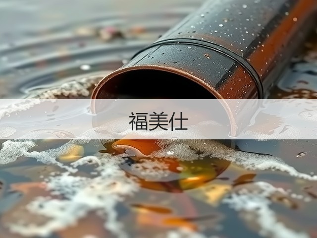 福美仕(图1) 福美仕(图1)