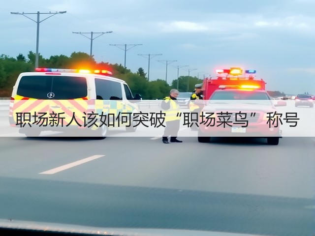 职场新人该如何突破“职场菜鸟”称号(图1) 职场新人该如何突破“职场菜鸟”称号(图1)