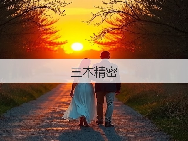 三本精密(图3)