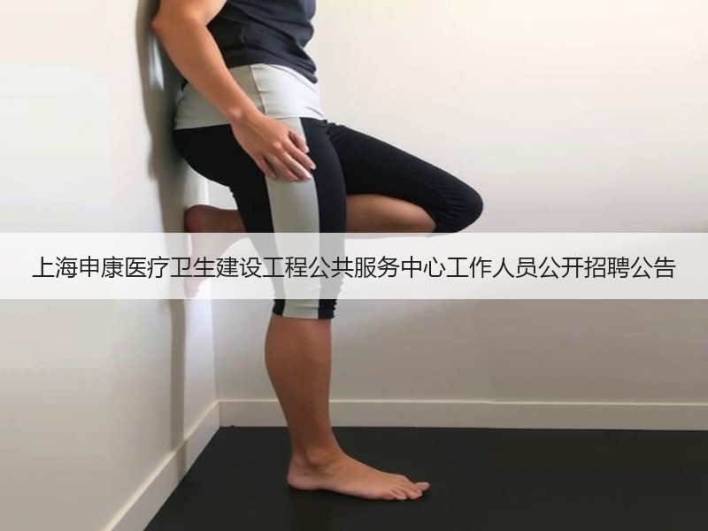 上海申康医疗卫生建设工程公共服务中心工作人员公开招聘公告
