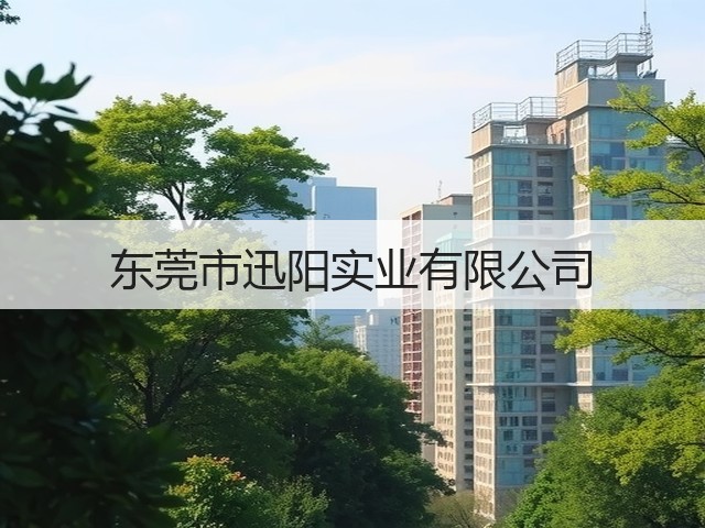 东莞市迅阳实业有限公司(图2)