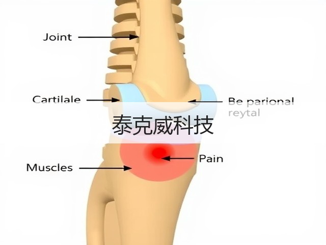 泰克威科技(图3)