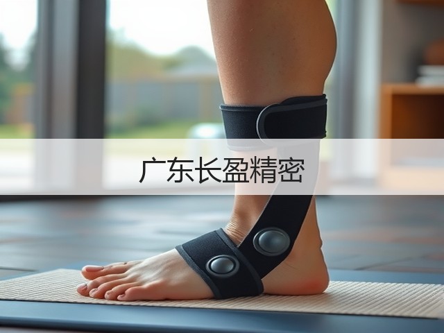广东长盈精密(图3) 广东长盈精密(图3)