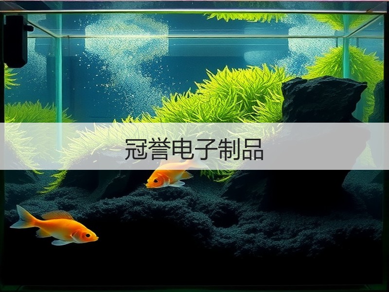 冠誉电子制品