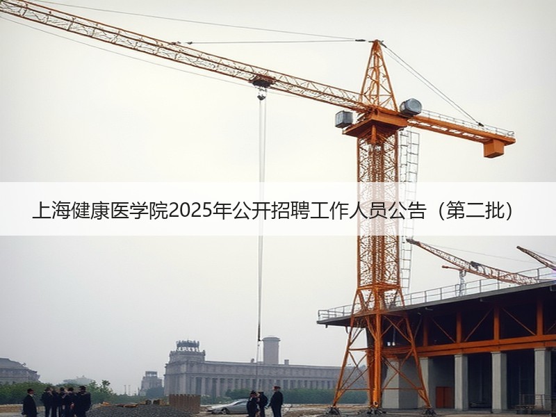 上海健康医学院2025年公开招聘工作人员公告（第二批）