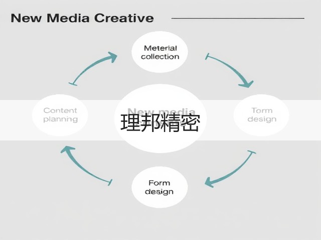 理邦精密(图2)