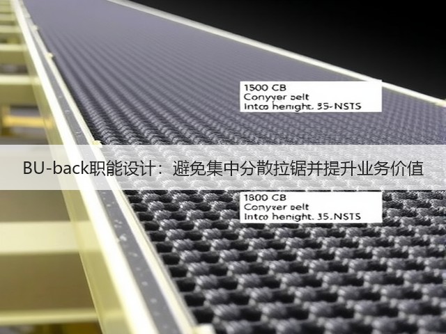 BU-back职能设计:避免集中分散拉锯并提升业务价值(图3) BU-back职能设计:避免集中分散拉锯并提升业务价值(图3)