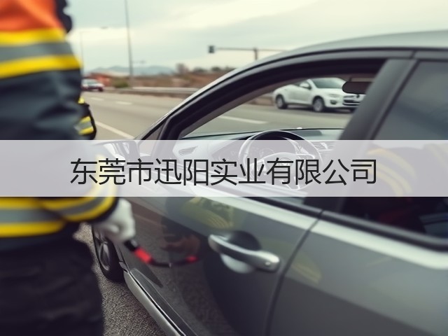 东莞市迅阳实业有限公司(图3)