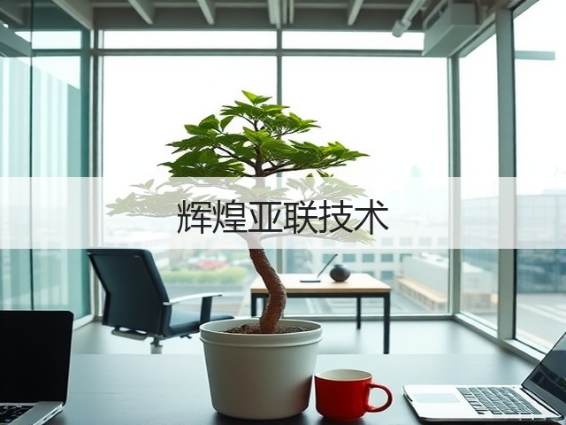 辉煌亚联技术(图2)