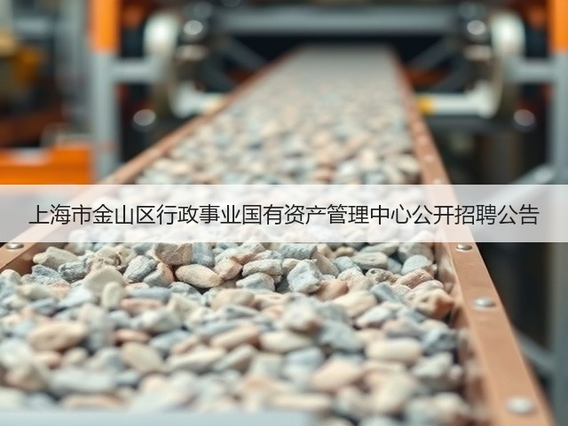 上海市金山区行政事业国有资产管理中心公开招聘公告(图2)