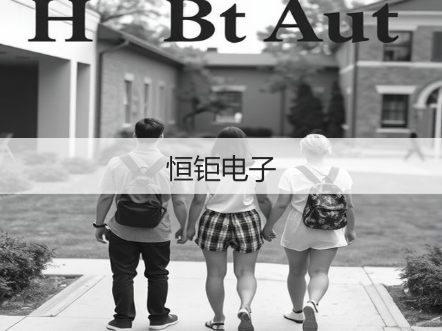 恒钜电子(图2) 恒钜电子(图2)
