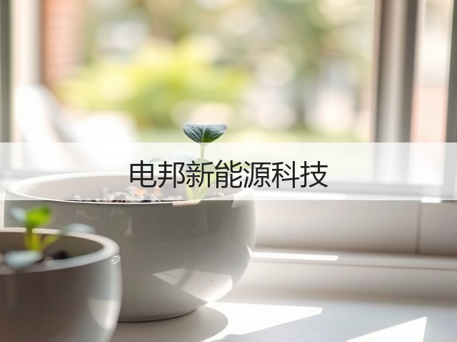 电邦新能源科技(图1)