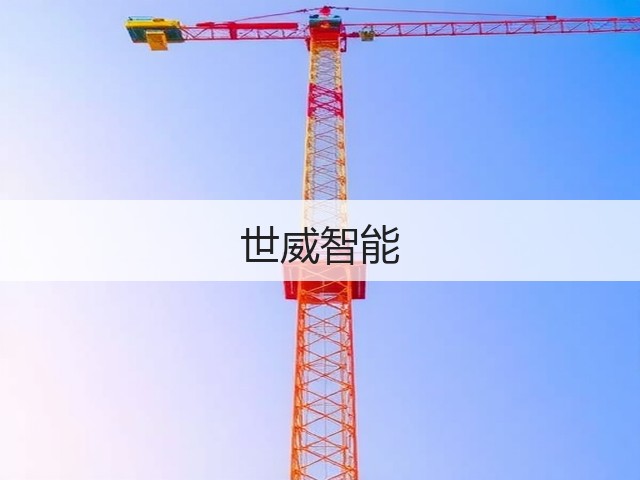 世威智能(图1) 世威智能(图1)