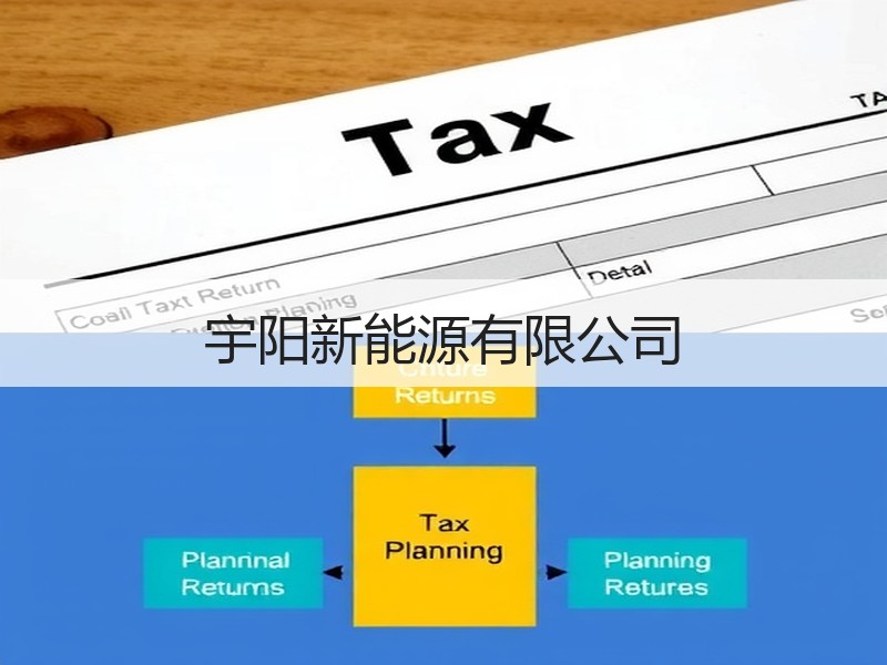 宇阳新能源有限公司