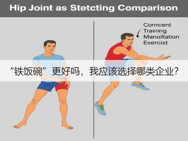“铁饭碗”更好吗,我应该选择哪类企业?(图1) “铁饭碗”更好吗,我应该选择哪类企业?(图1)