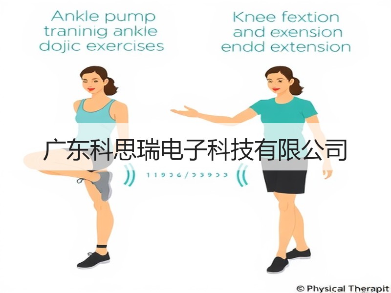 广东科思瑞电子科技有限公司