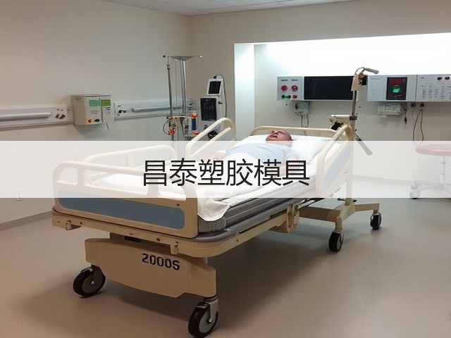 昌泰塑胶模具(图3)