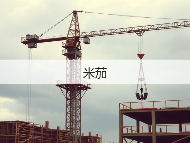 米茄(图2)