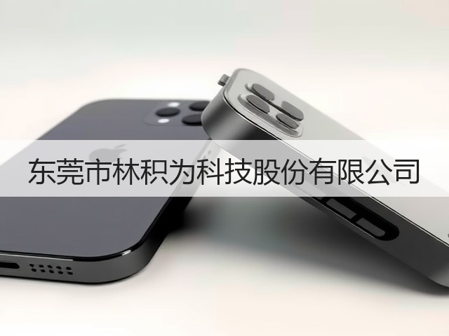 东莞市林积为科技股份有限公司(图3)
