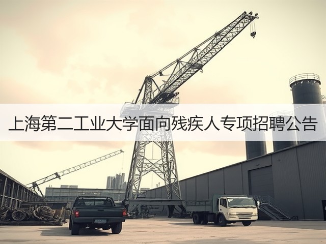 上海第二工业大学面向残疾人专项招聘公告(图3)