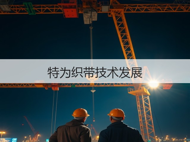 特为织带技术发展(图3)