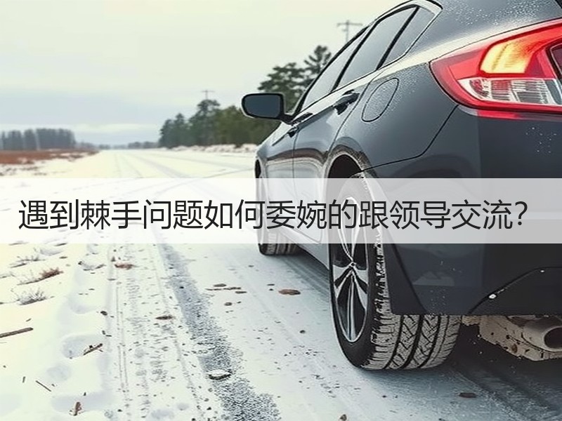 遇到棘手问题如何委婉的跟领导交流？
