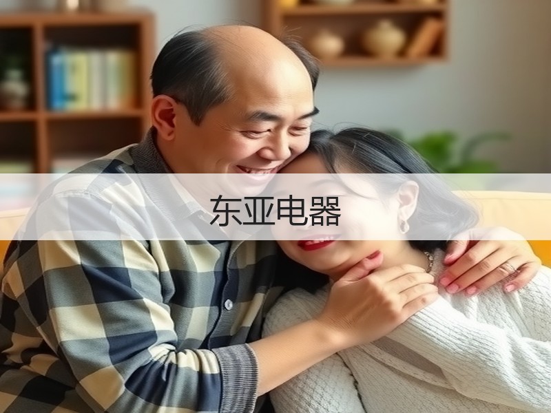 东亚电器
