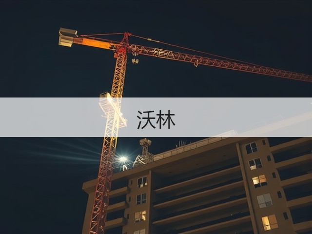 沃林(图1)
