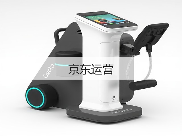 京东运营(图1) 京东运营(图1)