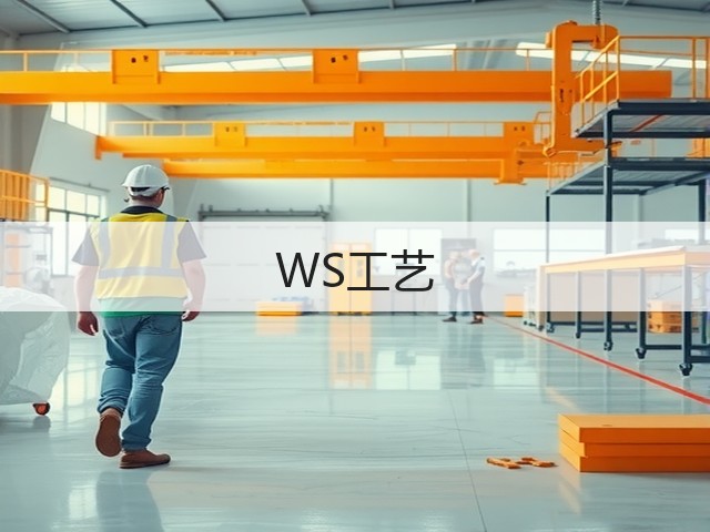 WS工艺(图3) WS工艺(图3)