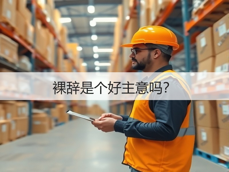 裸辞是个好主意吗？