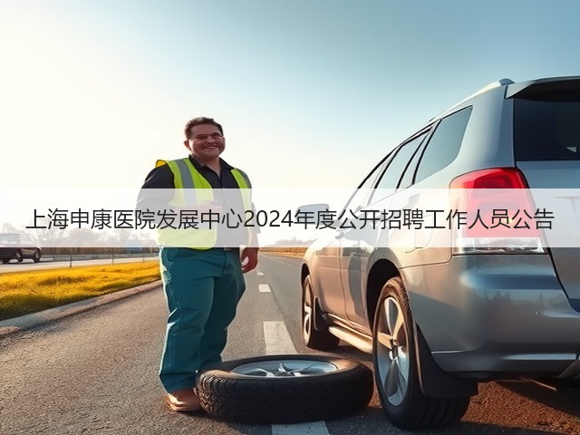 上海申康医院发展中心2024年度公开招聘工作人员公告(图3) 上海申康医院发展中心2024年度公开招聘工作人员公告(图3)