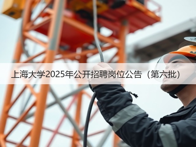上海大学2025年公开招聘岗位公告(第六批)(图3) 上海大学2025年公开招聘岗位公告(第六批)(图3)