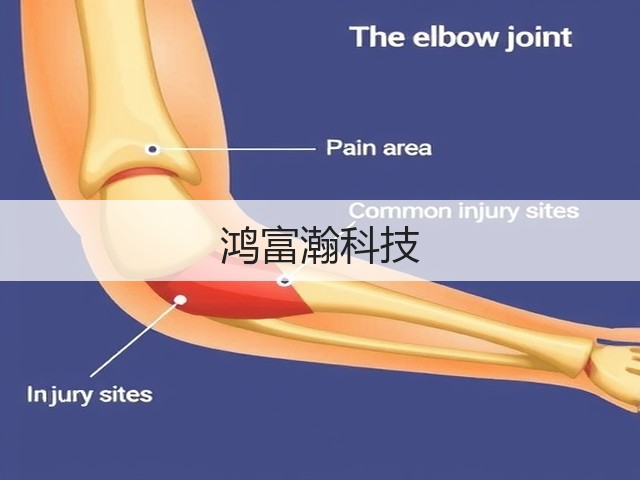 鸿富瀚科技(图1)