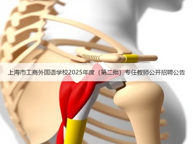 上海市工商外国语学校2025年度（第二批）专任教师公开招聘公告(图3)