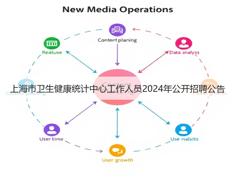 上海市卫生健康统计中心工作人员2024年公开招聘公告