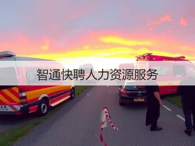 智通快聘人力资源服务(图2)