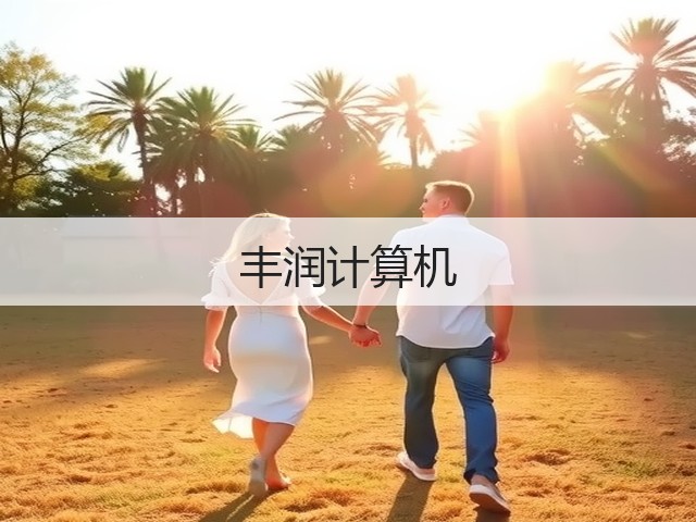 丰润计算机(图2)
