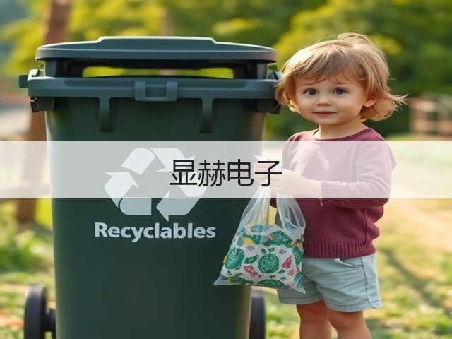 显赫电子(图1) 显赫电子(图1)